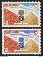 Cambodia 117-118, MNH. Mi 149-150. FAO. Freedom From Hunger Campaign, 1963.Rice. - Cambodia