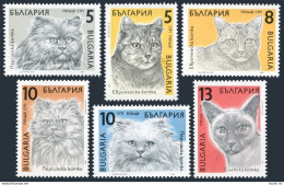 Bulgaria 3510-3515, MNH. Michel 3808-3813. Cats 1989. - Neufs