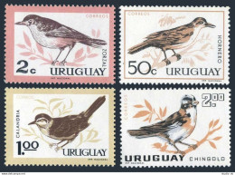 Uruguay 695-698, MNH. Michel 955-958. Birds 1963. Thrush, Iverbird, Mockinbird, - Uruguay