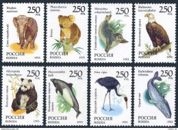 Russia 6184-6191,6191a,MNH.Michel 351-358. Wild Life 1993.Birds,Mammals. - Nuevos