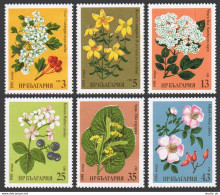 Bulgaria 2728-2733, MNH. Mi 2963-2968. Medicinal Herbs,1981.Hawthorn,Lime,Briar, - Ongebruikt