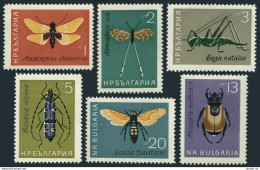 Bulgaria 1332-1337, MNH. Mi 1446-1451. Insects 1964. Butterflies, Grasshopper, - Nuovi