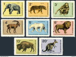 Bulgaria 1485-1492,MNH.Mi 1618-1625. Sofia ZOO Animals,1966.Elephant,Tiger,Bison - Neufs