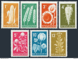 Bulgaria 1414-1420,MNH. Mi 1522-28. Plants 1965. Corn,Wheat,Sunflower,Sugar Beet - Ungebraucht