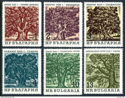 Bulgaria 1380-1385, MNH. Michel 1502-1507. Old Trees, 1964. - Unused Stamps