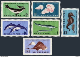 Bulgaria 1164-1169, MNH. Mi 1243-1248. Black Sea Fauna. Monk Seal, Dolphin, Ray, - Ungebraucht