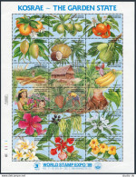 Micronesia 103 Ar Sheet, MNH. Mi 154-171 Bl.6. EXPO-1989: Kosrae, Garden State. - Micronesië