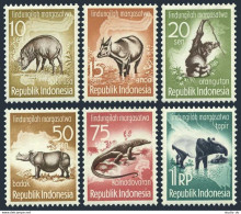 Indonesia 473-478, MNH. Mi 237-242. 1959.Wild Boar, Anoa, Orangutan,Lizard,Tapir - Indonesië