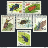 Czechoslovakia 1144-1149, MNH. Michel 1371-1376. Beetles 1962. - Unused Stamps