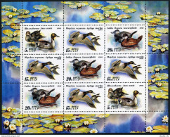 Russia 6011a Sheet, MNH. Michel 6210-6212 Klb. Ducks-1991. Acuta, Marila, Oxyura - Unused Stamps