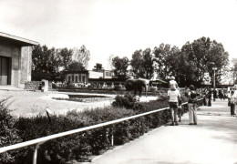 (RECTO / VERSO) KRALOVE - DER SAFARI ZOO BEI DVUR KRALOVE - FORMAT CPSM GF - Czech Republic