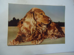 GERMANY  POSTCARDS  ANIMALS DOGS DOG - Perros