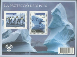 ARCTIC-ANTARCTIC, ANDORRA FRENCH ADM. 2009 PRESERVATION OF POLAR REGIONS S/S OF 2** - Preserve The Polar Regions And Glaciers