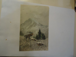 AUSTRIA    POSTCARDS  CHRISTMAS  ANIMALS - Other & Unclassified