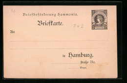 AK Hamburg, Private Stadtpost Briefbeförderung Hammonia  - Briefmarken (Abbildungen)