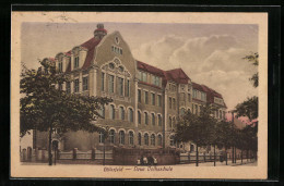 AK Bitterfeld, Neue Volksschule  - Bitterfeld