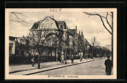 AK Bitterfeld, Partie An Der Lindenstrasse  - Bitterfeld