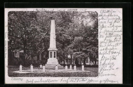 AK Tönning, Blick Zum Kriegerdenkmal  - Sonstige & Ohne Zuordnung