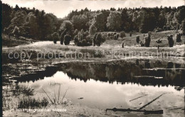 72073831 Wilsede Lueneburger Heide Partie Im Schlangengrund Teich Behringen - Sonstige & Ohne Zuordnung