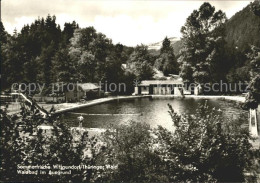 72072552 Wittgendorf Saalfeld Waldbad Im Auegrund Thueringer Wald Sommerfrische  - Andere & Zonder Classificatie