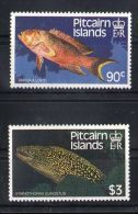 Pitcairn Islands - 1988 Fishes MNH__(TH-2149) - Pitcairn Islands