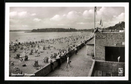 AK Berlin-Wannsee, Promenade Am Strandbad, Badegäste  - Wannsee