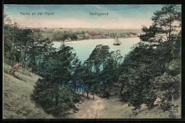 AK Berlin-Grunewald, Moorlake, Partie An Der Havel Mit Blick Zum Dachsgrund  - Grunewald