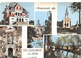 91-SAINTE GENEVIEVE DES BOIS-N 606-B/0221 - Sainte Genevieve Des Bois