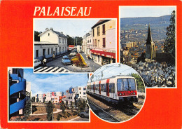 91-PALAISEAU-N 606-B/0149 - Palaiseau