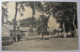 BELGIQUE - LIMBOURG - LEOPOLDSBURG - CAMP DE BEVERLOO - Dans Les Carrés - Leopoldsburg (Beverloo Camp)