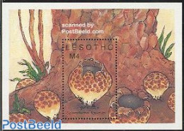 Lesotho 1989 Mushrooms S/s, Mint NH, Nature - Mushrooms - Paddestoelen
