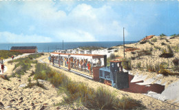 33-LE CAP FERRET-TRAIN DES DUNES-N 608-G/0113 - Other & Unclassified