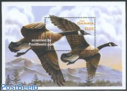 Gambia 2001 Canada Goose S/s, Mint NH, Nature - Birds - Ducks - Gambia (...-1964)