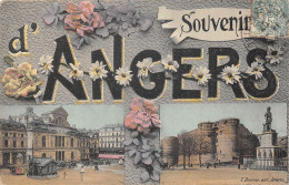 49-ANGERS-N 609-E/0047 - Angers
