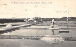 44-GUERANDE-MARAIS SALANTS-N 609-D/0067 - Guérande