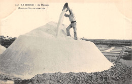 44-LE CROISIC-MULON DE SEL-N 609-C/0355 - Le Croisic