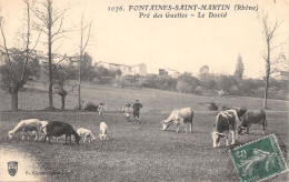 69-FONTAINES SAINT MARTIN-N 610-D/0359 - Autres & Non Classés