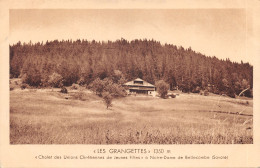 73-LES GRANGETTES-N 610-G/0183 - Other & Unclassified