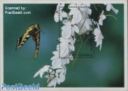 Gambia 1998 Aerangis Rhodosticta S/s, Mint NH, Nature - Butterflies - Flowers & Plants - Gambia (...-1964)