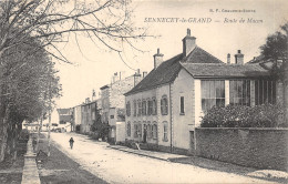 71-SENNECEY LE GRAND-N 610-F/0023 - Andere & Zonder Classificatie