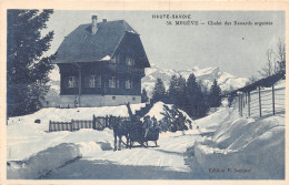 74-MEGEVE-N 610-H/0391 - Megève