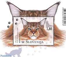 Slovenia 2020 Cats S/s, Mint NH, Nature - Cats - Eslovenia