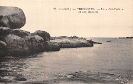 22-TREGASTEL-N°5169-B/0249 - Trégastel