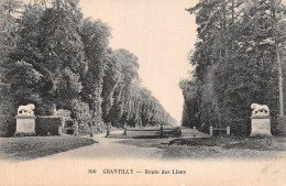 60-CHANTILLY ROUTE DES LIONS-N°5169-A/0077 - Chantilly