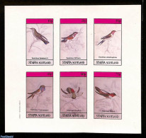 Great Britain, Private Local Issues 1982 Staffa, Hummingbirds M/s, Imperforated, Mint NH, Nature - Birds - Andere & Zonder Classificatie
