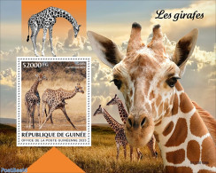 Guinea, Republic 2023 Giraffes, Mint NH, Nature - Giraffe - Sonstige & Ohne Zuordnung