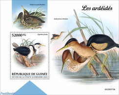 Guinea, Republic 2023 Herons, Mint NH, Nature - Birds - Andere & Zonder Classificatie