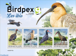 Guinea, Republic 2023 Ibis, Mint NH, Nature - Birds - Sonstige & Ohne Zuordnung