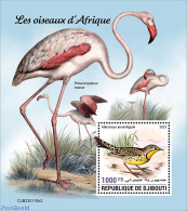Djibouti 2023 African Birds, Mint NH, Nature - Birds - Flamingo - Gibuti (1977-...)