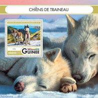 Guinea, Republic 2016 Sledge Dogs, Mint NH, Nature - Dogs - Autres & Non Classés